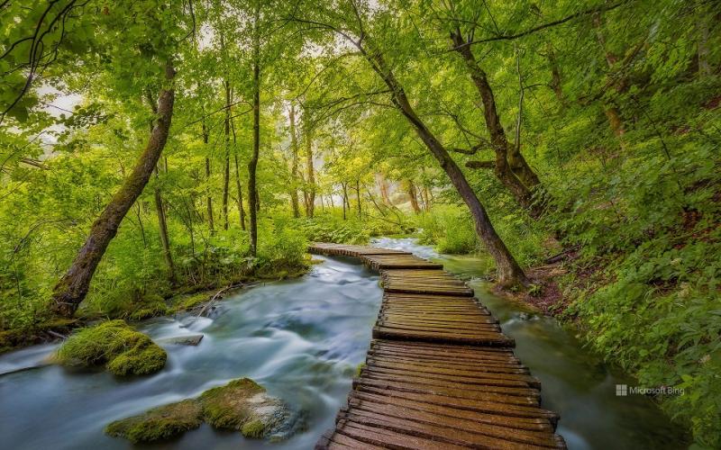 Le rire de la joie est en pleine harmonie avec la vie intérieure. Lewis Carroll