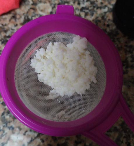 Foto donde se ven gránulos de kéfir de leche sobre un colador que está apoyado en un bote de vidrio.