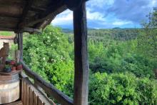 Inmersas en la montaña 