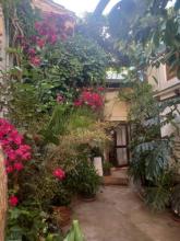 patio de la casa y puerta al fondo de la minivienda con mosquitera blanca